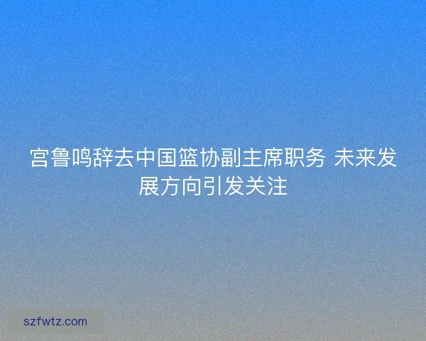 宫鲁鸣辞去中国篮协副主席职务 未来发展方向引发关注
